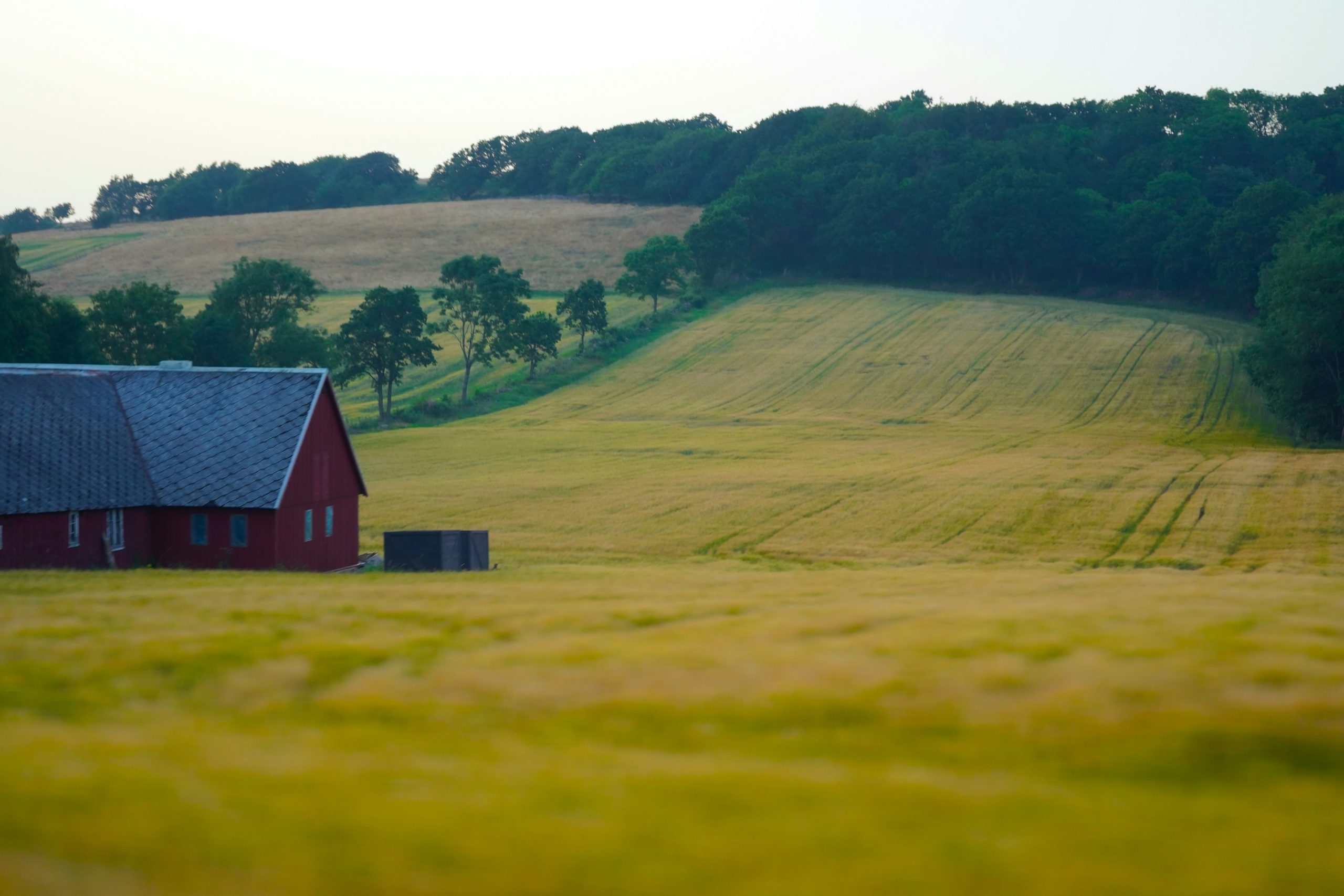 Image of farmland and a house