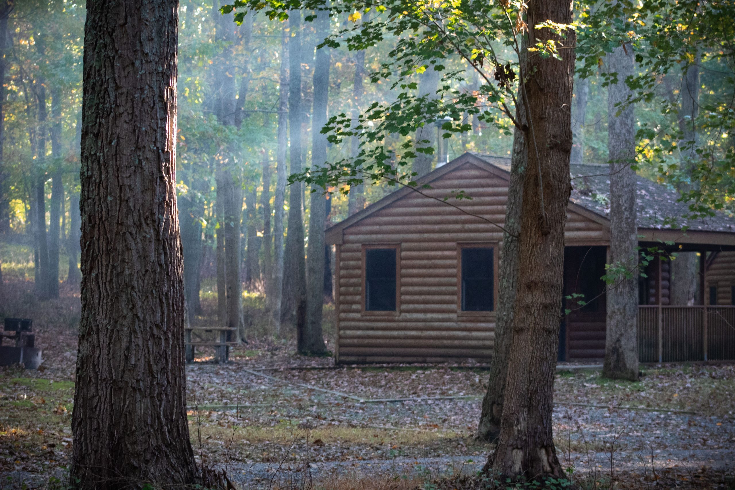 Cabin