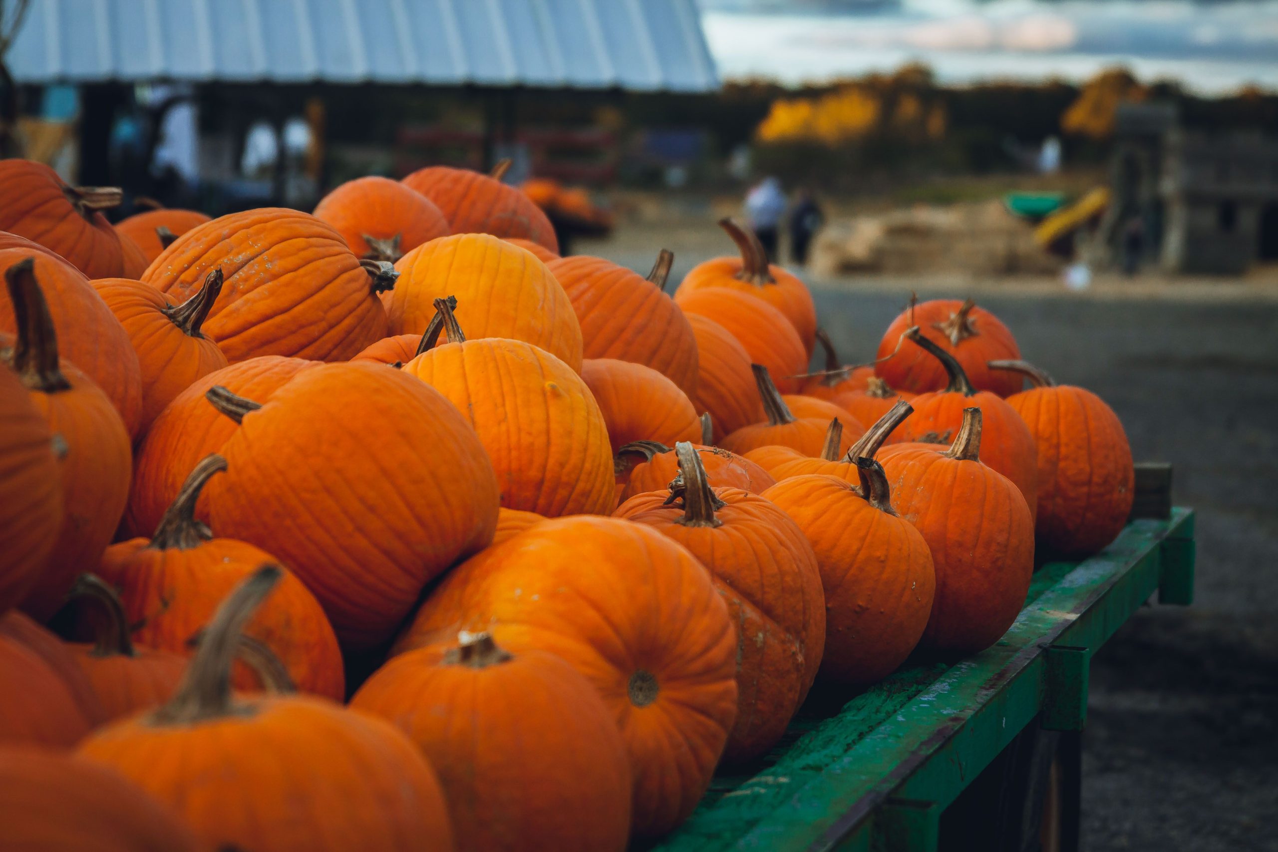 Image of pumpkins on a tractor in the fall season